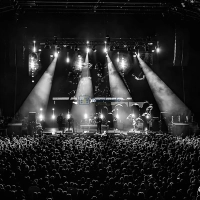 Koncert Zadzwońcie po Milicję! - Wałbrzych